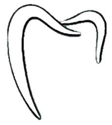 Logo de Martha García