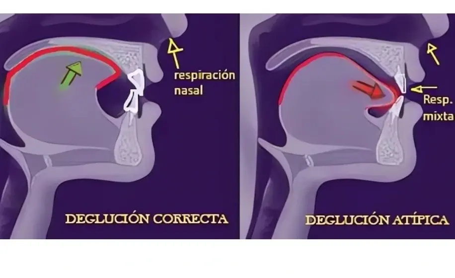Odontología general